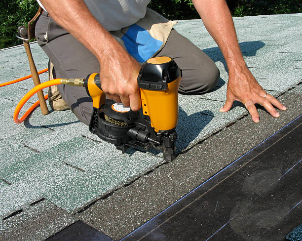 Roof Gutter Cleaning in Fruitland, IA