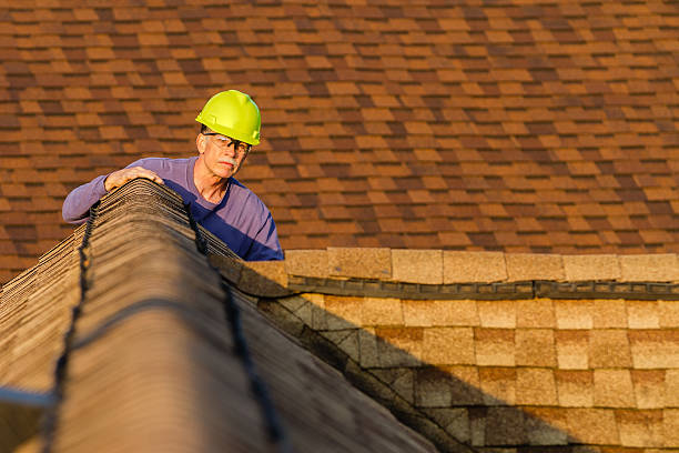 Best Storm Damage Roof Repair  in Fruitland, IA